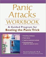 book panic attacks workbook