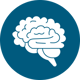 cct icon brain